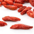 Chinese Dry Goji / getrocknete Früchte günstigen Preis